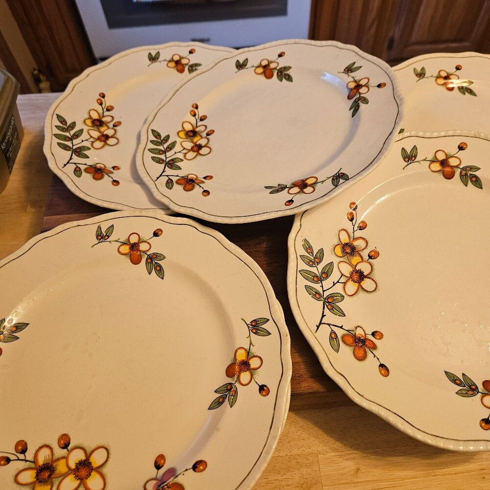 lot of 5 homer laughlin yellowstone 1930 plates pretty flower pattern
